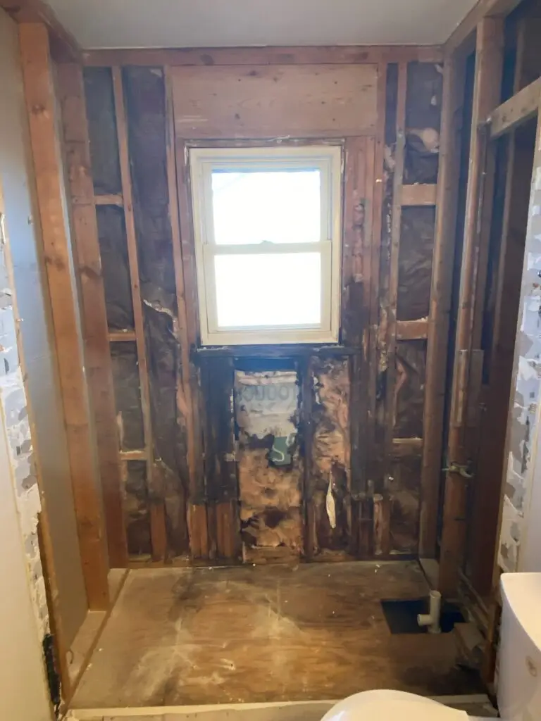 Tub-to-Walk-In Shower Conversion in Bolingbrook — bathroom renovation